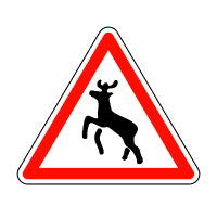 Дикі тварини